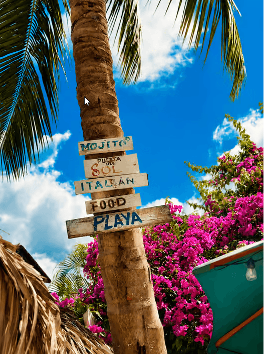 Punta Cana: Saona Island VIP Catamaran Tour All Inclusive — Guided tour and outdoor activity